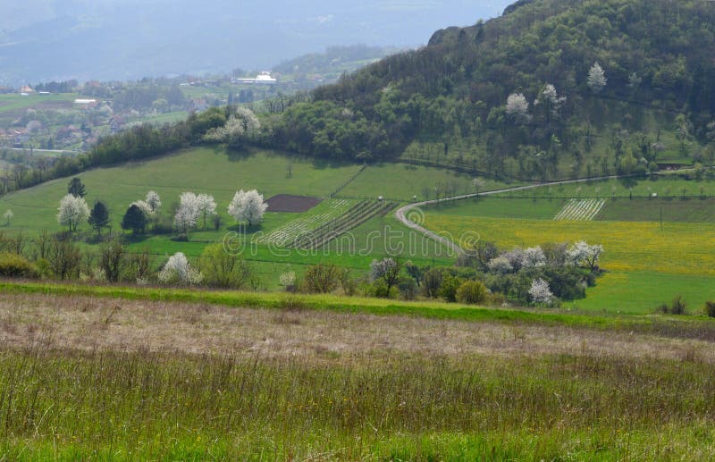 Landschap in de lente stock fotografie
