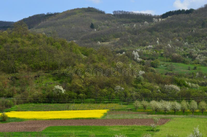 Landschap in de lente royalty-vrije stock fotografie