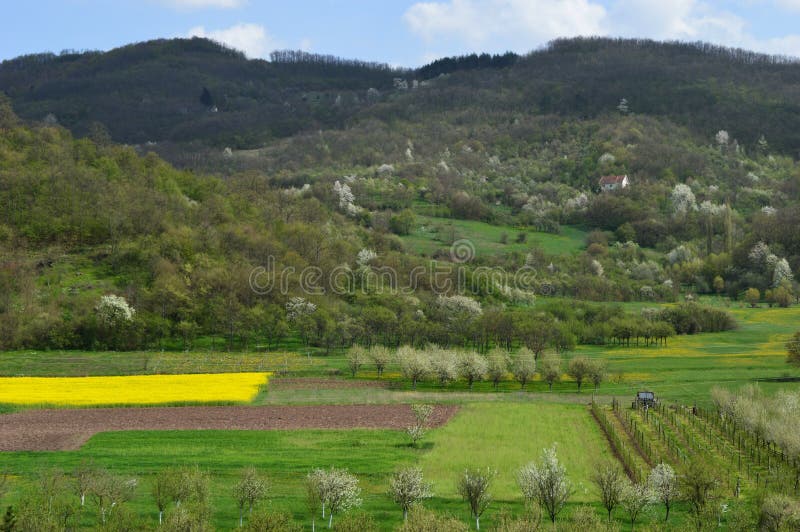 Landschap in de lente stock fotografie