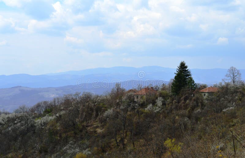 Landschap in de lente royalty-vrije stock foto