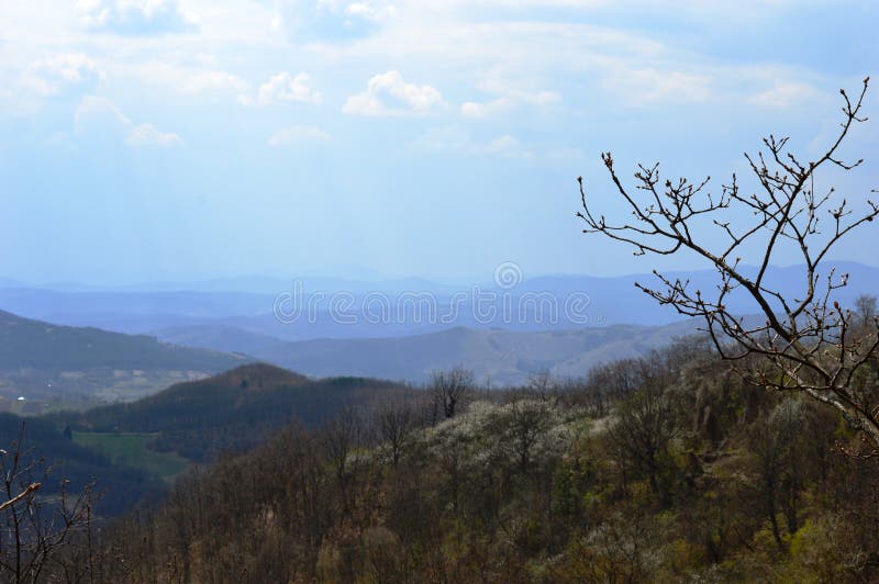 Landschap in de lente stock foto's