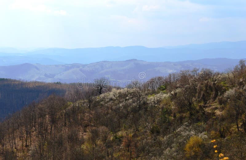 Landschap in de lente royalty-vrije stock afbeelding