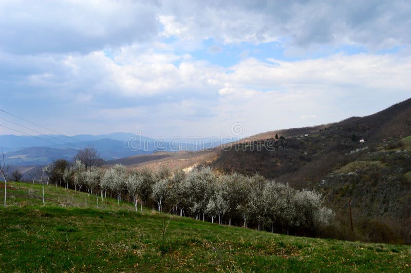 Landschap in de lente royalty-vrije stock foto