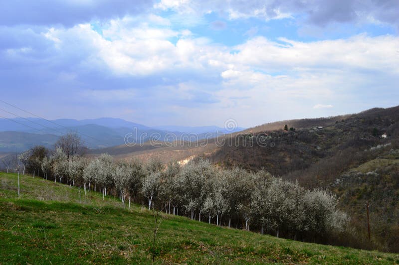 Landschap in de lente royalty-vrije stock afbeelding