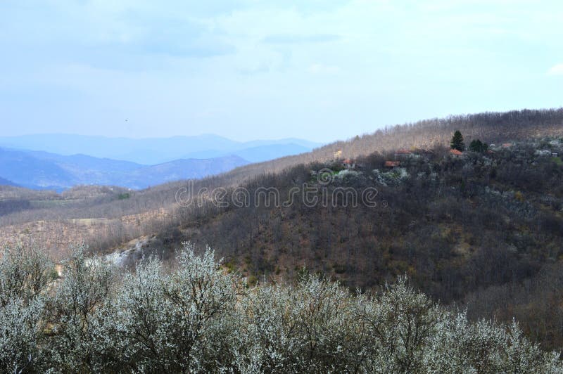 Landschap in de lente royalty-vrije stock afbeelding