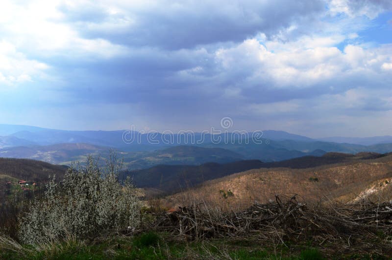 Landschap in de lente royalty-vrije stock afbeeldingen