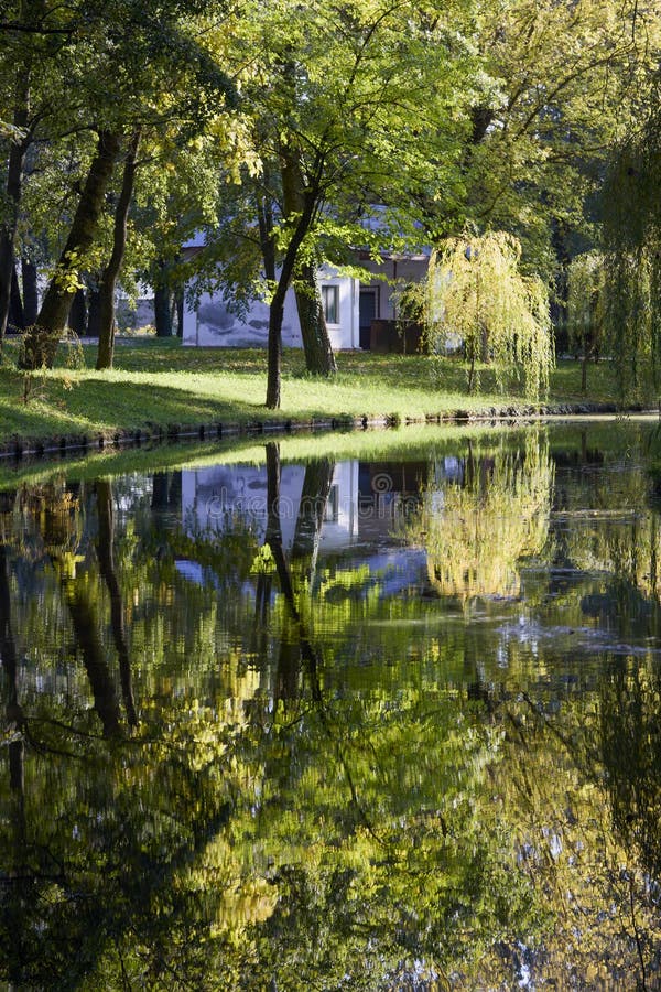 Landschap met herfstbomen stock foto's