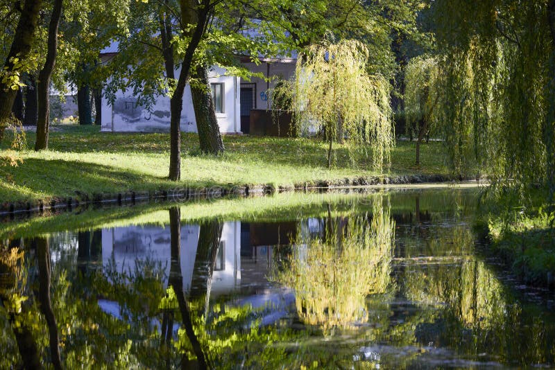 Landschap met herfstbomen royalty-vrije stock afbeelding