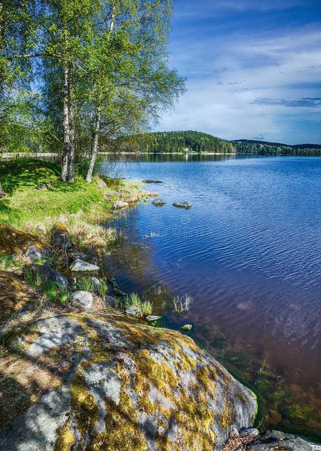 Landschap aan de oever van een meer in Karelië stock afbeelding