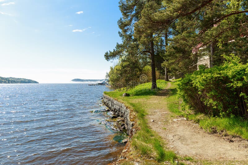Landschap op de kust van een meer in Karelië stock afbeelding