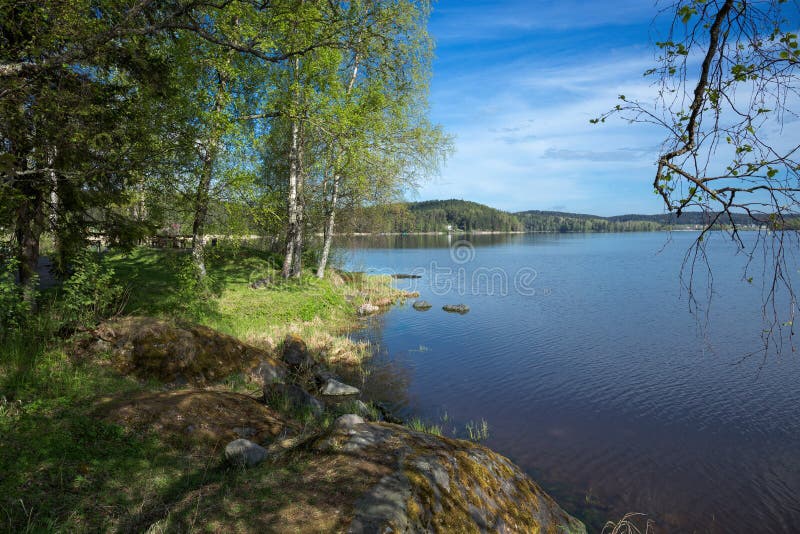 Landschap op de kust van een meer in Karelië stock afbeeldingen
