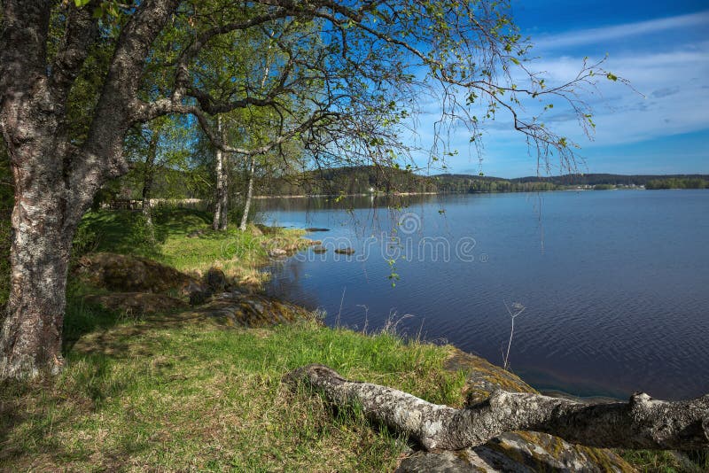 Landschap op de kust van een meer in Karelië stock foto