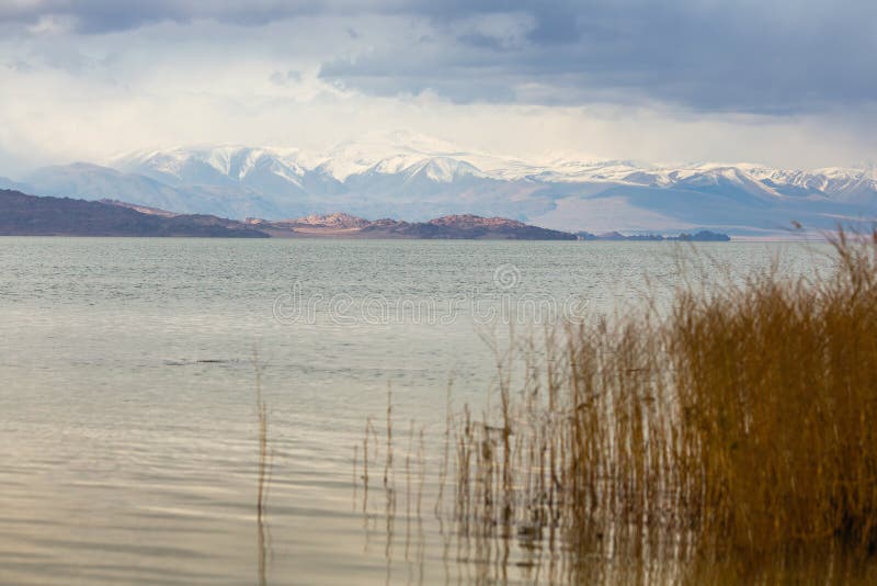 Landschap van de bergen en het meer in Mongolië royalty-vrije stock afbeelding Landschap van de bergen en het meer in Mongolië royalty-vrije stock afbeelding