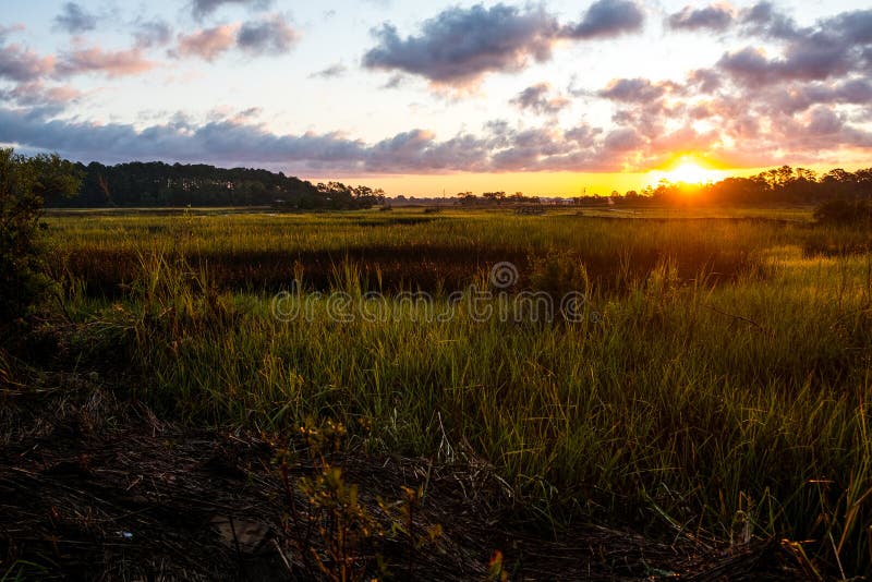 Landschap van moeras land van het Zuid- van Carolina het lage bij zonsopgang met clouday hemel