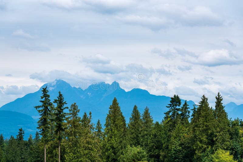 Landschap van vergankelijke en altijdgroene bomen tegen een achtergrond van blauwe bergen en stormachtige grijze hemel met vele w stock afbeeldingen Landschap van vergankelijke en altijdgroene bomen tegen een achtergrond van blauwe bergen en stormachtige grijze hemel met vele w stock afbeeldingen