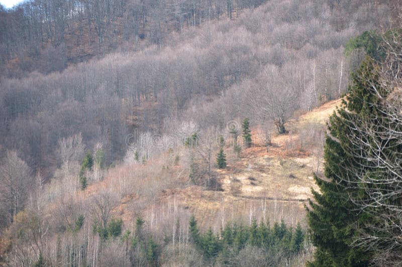 Landschap in vroege lente stock foto