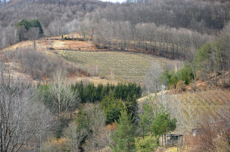 Landschap in vroege lente stock afbeelding