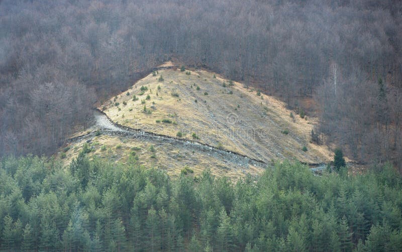 Landschap in vroege lente royalty-vrije stock foto's