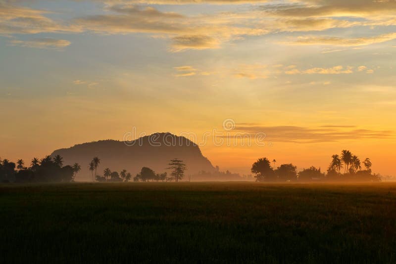 Landschapsmening van padiegebieden, kokospalm, berg tijdens zonsopgang stock foto Landschapsmening van padiegebieden, kokospalm, berg tijdens zonsopgang stock foto