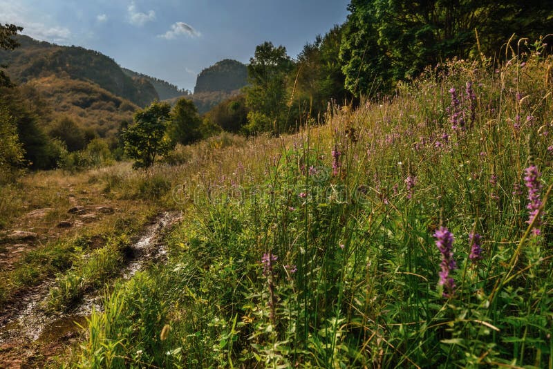 Landsidesomerlandskap med bergsnederkant arkivbilder