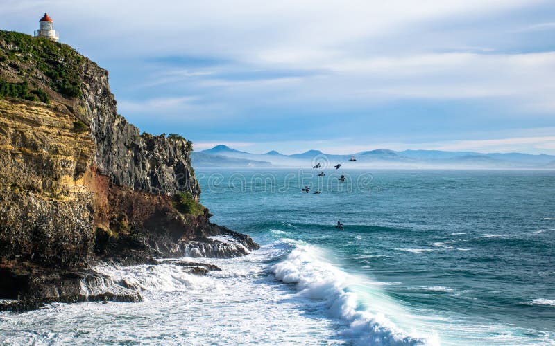 Landskap av fyren på de steniga klipporna av otagohalvön, samman med flygfåglar över havet fotografering för bildbyråer Landskap av fyren på de steniga klipporna av otagohalvön, samman med flygfåglar över havet fotografering för bildbyråer