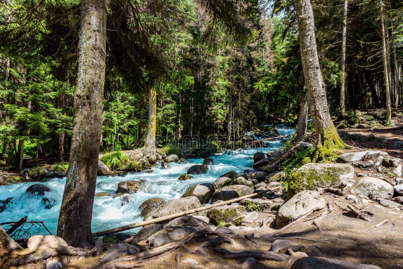 Landskap f? r bergflodvatten L? s flod i berg. Mountain river water landscape. Wild river in mountains. Mountain wild river water view