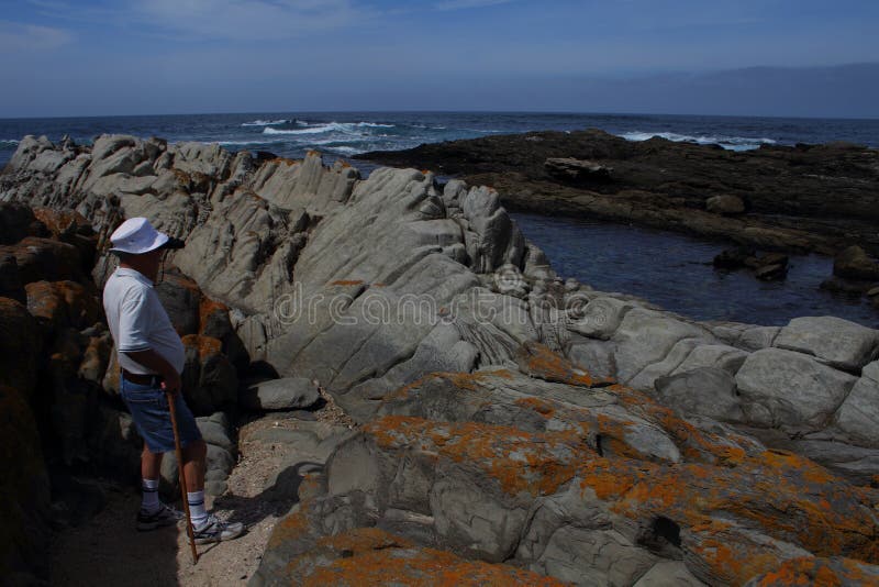 Landskap och livsstil Port Elizabeth royaltyfri foto