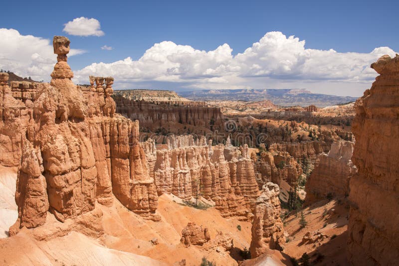 Landskap p? brycekanjonen royaltyfria bilder