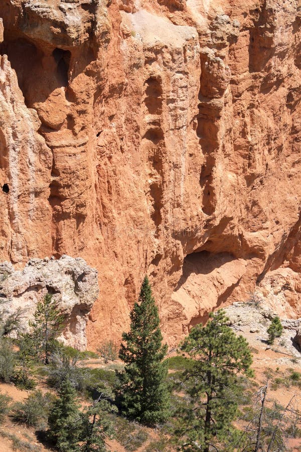 Landskap p? brycekanjonen arkivfoton