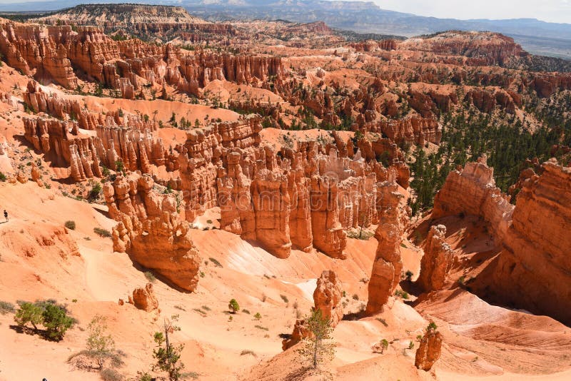 Landskap p? brycekanjonen royaltyfri foto