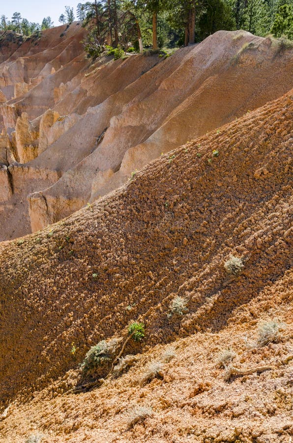 Landskap på brycekanjonen royaltyfri bild