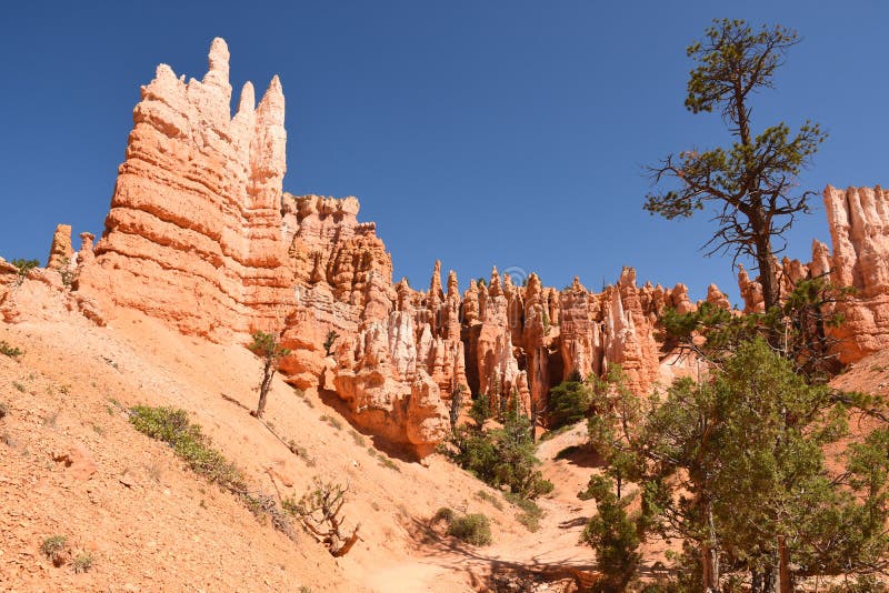 Landskap på brycekanjonen arkivfoto