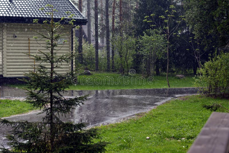 Landskap på ett rinnande regn bredvid en julgran på en stugabakgrund royaltyfria bilder