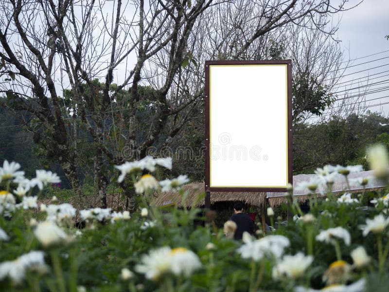 Landskapad trädgård med ett tomt tecken som är färdigt för anpassad grafik royaltyfria bilder
