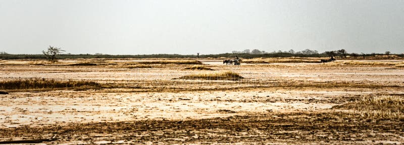 Landskapplats, dakar, Senegal arkivbilder Landskapplats, dakar, Senegal arkivbilder