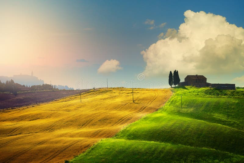 Landskapslandskap på italienska tuscany, gult och grönvete Jordbruksmark royaltyfri fotografi