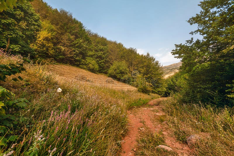 Landslandskap med Walking Trail arkivbild