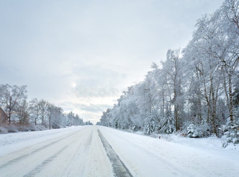 landsvägvinter fotografering för bildbyråer landsvägvinter fotografering för bildbyråer