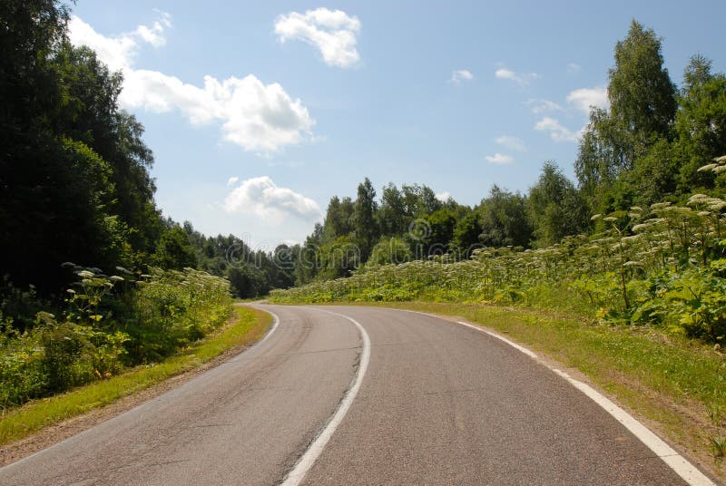 Country road in summer day. Country road in summer day