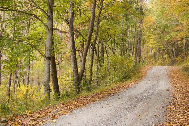 Landweg in de Herfst royalty-vrije stock afbeeldingen Landweg in de Herfst royalty-vrije stock afbeeldingen