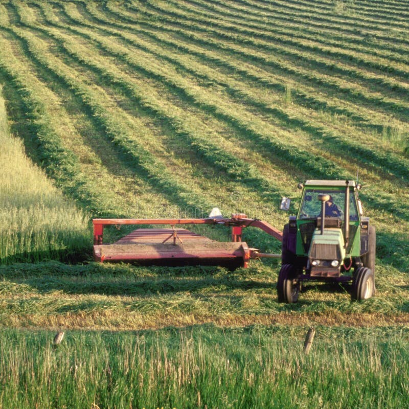 Farmer on tractor cutting hay in farm field in Town of Sheboygan, Wisconsin in the united states of america part of the agricultural area of the us it is a typical representation of the small individual family farm showing the long straight parallel lines of his cutting awaiting his returning and baling the hay. Farmer on tractor cutting hay in farm field in Town of Sheboygan, Wisconsin in the united states of america part of the agricultural area of the us it is a typical representation of the small individual family farm showing the long straight parallel lines of his cutting awaiting his returning and baling the hay