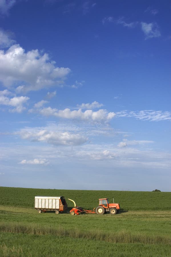 Landwirt-Ausschnitt-Heu lizenzfreie stockbilder Landwirt-Ausschnitt-Heu lizenzfreie stockbilder