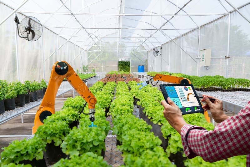 Landwirt, der eine Tablettenintelligente Roboterernte in der futuristischen Roboterautomatisierung der Landwirtschaft hält, um Te stockbild