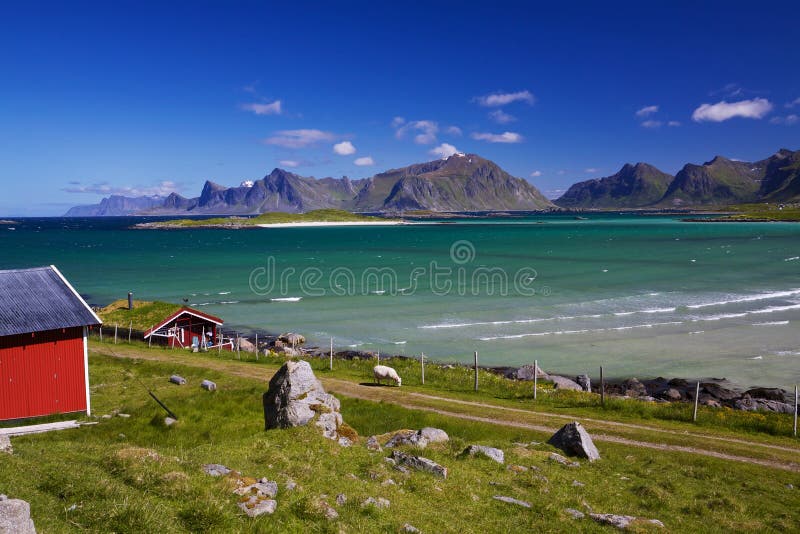 Landwirtschaft in Norwegen stockbild Landwirtschaft in Norwegen stockbild