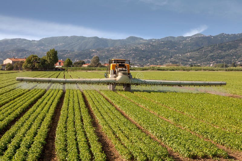 Landwirtschaft, Traktorsprühschädlingsbekämpfungsmittel auf Feldbauernhof stockfoto Landwirtschaft, Traktorsprühschädlingsbekämpfungsmittel auf Feldbauernhof stockfoto