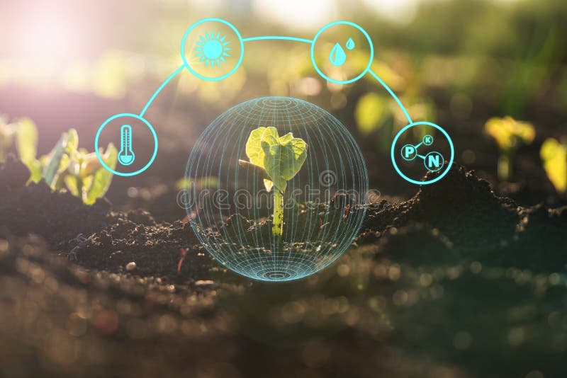 Landwirtschaft und Technik der künstlichen Intelligenz in intelligenten Betrieben zur Überwachung von Saatgut und Pflanzen stockfotografie