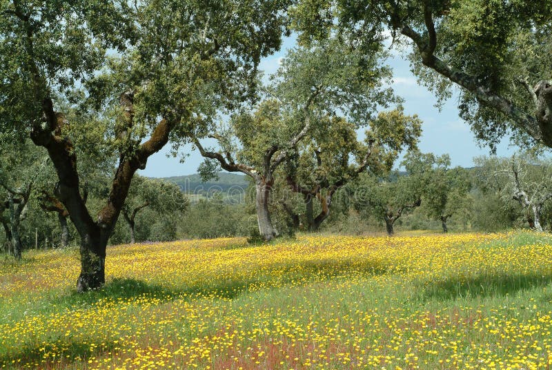 Landwirtschaftliche Frühlingszeit stockfoto Landwirtschaftliche Frühlingszeit stockfoto