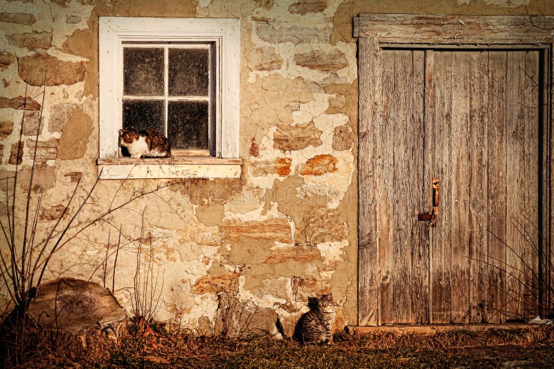 Landwirtschaftliche Stall wirh Katzen, die in die Sonne legen stockfotos Landwirtschaftliche Stall wirh Katzen, die in die Sonne legen stockfotos