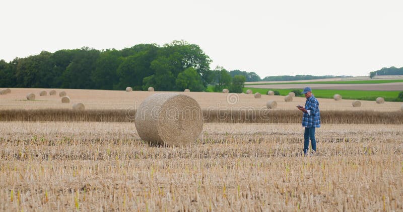 Landwirtschafts-Landwirt untersucht Feld Moderne Landwirtschaft