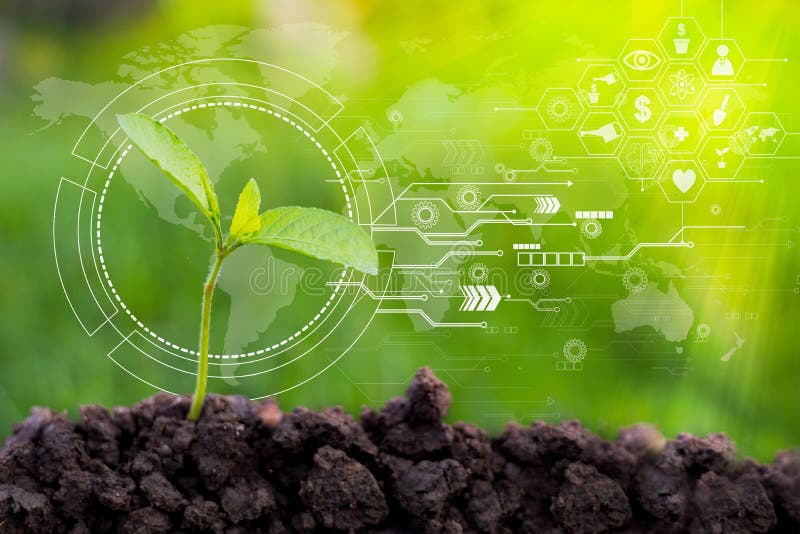 Landwirtschafts-Technologie-Sämlinge sind grüner, brauner Boden stockfotografie